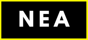 Network Engineer Academy Logo